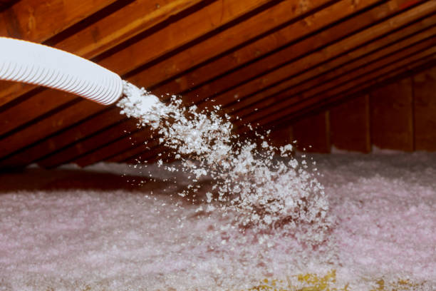 Trusted Fruita, CO Insulation Contractor Experts