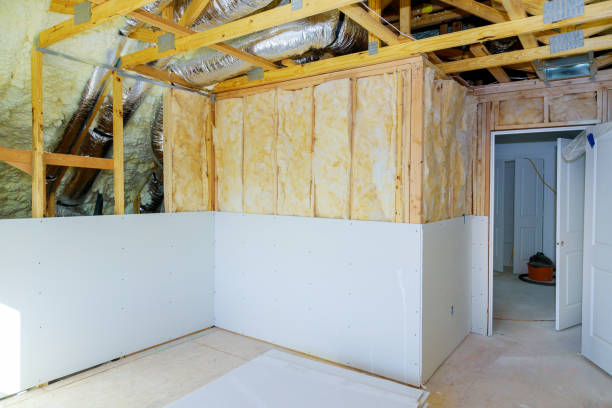 Best Residential Insulation Services  in Fruita, CO