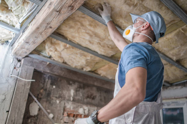 Insulation Replacement Services in Fruita, CO