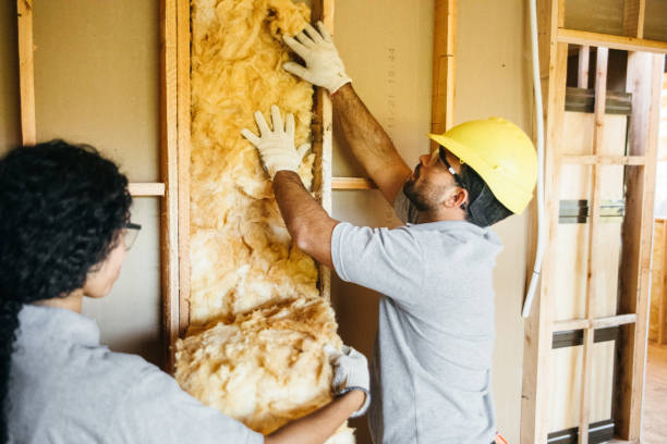 Best Insulation Inspection Services  in Fruita, CO