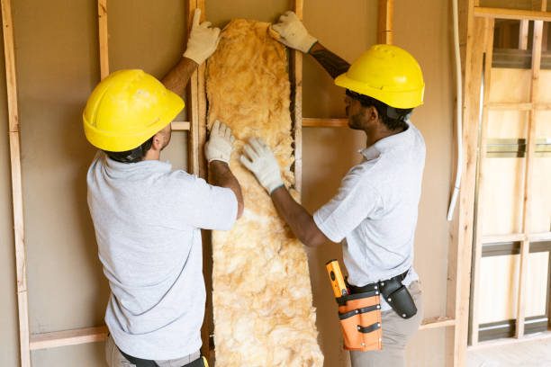 Trusted Fruita, CO Insulation Contractor Experts