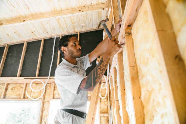 Best Local Insulation Services  in Fruita, CO