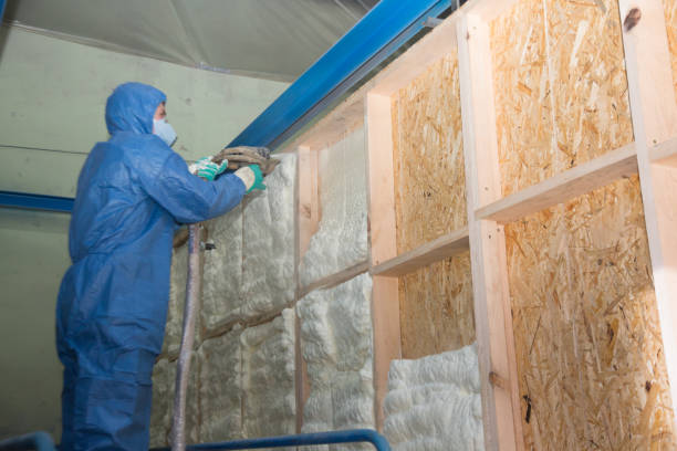 Best Professional Insulation Contractor  in Fruita, CO